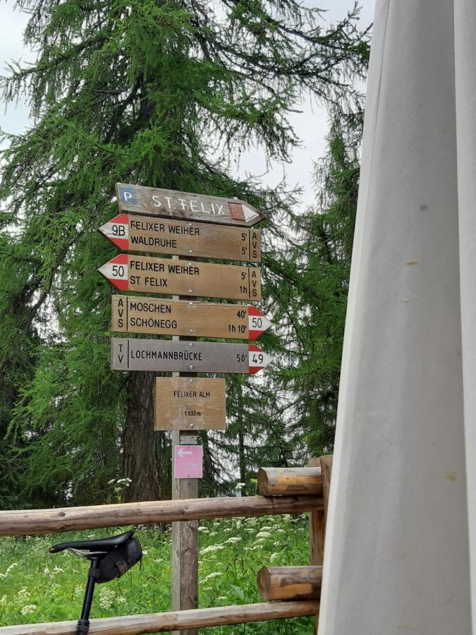 Albergo Scoiattolo Tret Esterno foto