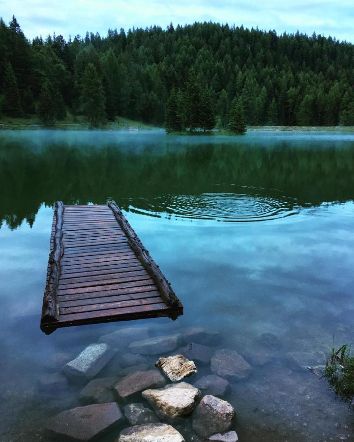 Albergo Scoiattolo Tret Esterno foto